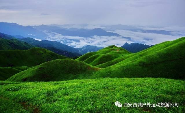 全民烧脑3去广告版